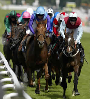 Turf Tips for 31.July 2010 thumbnail